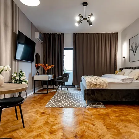 Piata Natiunilor Unite Studios: Where Style Meets Bucharest's Pulse Appartement *