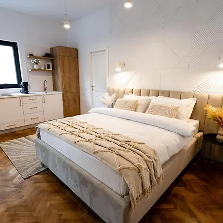 Appartement Piata Natiunilor Unite Studios: Where Style Meets Bucharest's Pulse